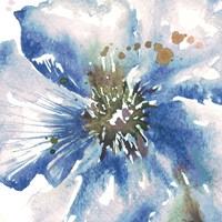 Blue Watercolor Poppy Close Up II Fine Art Print