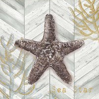 Gray Gold Chevron Star Fish Fine Art Print