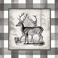 Buffalo Check Deer Neutral II Fine Art Print