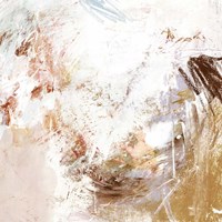 Blush & Umber II Framed Print