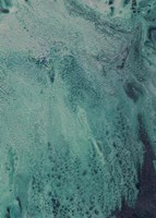 Innate Sense I Fine Art Print