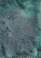 Innate Sense II Fine Art Print