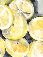 Lemon Slices I Fine Art Print