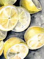 Lemon Slices II Fine Art Print