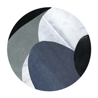 Littoral Composite III Fine Art Print