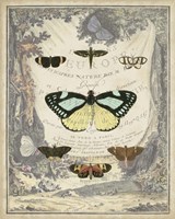 Vintage Butterfly Bookplate Fine Art Print