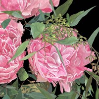 Springtime Fragrance II Framed Print