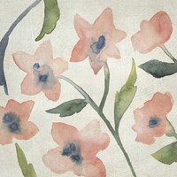 Blush Pink Blooms III Framed Print