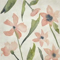 Blush Pink Blooms IV Framed Print