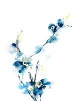 Blue Blossoms Fine Art Print