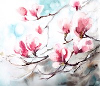 Magnolia, Spring Fine Art Print