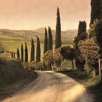 Country Lane, Tuscany Fine Art Print