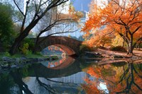 Gapstow Bridge, Fall Fine Art Print