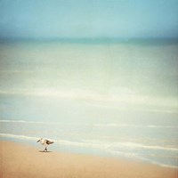 Get Your Feet Wet Fine Art Print