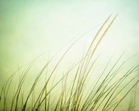 Just Breathe Fine Art Print