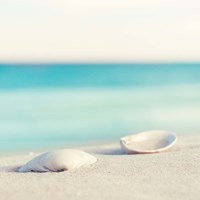 Serenity Fine Art Print