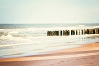 Shore Days Fine Art Print