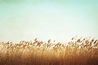 Swaying Fine Art Print