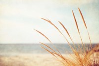 Warm Breeze Fine Art Print