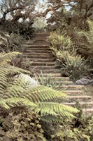 Secret Steps Fine Art Print