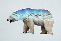 The Arctic Polar Bear Fine Art Print