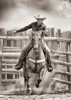 Ride 'Em Cowgirl Fine Art Print