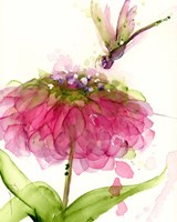 Dragonfly and Zinnia Fine Art Print
