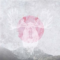 Moose 1 Fine Art Print