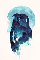 Midnight Owl Fine Art Print