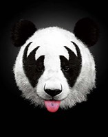 Panda Rocks Fine Art Print