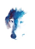 Through Many Storms Fine Art Print