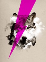 Wolf Rocks Fine Art Print