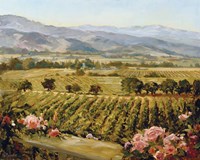 Vineyards to Vaca Mountains Fine Art Print