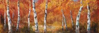 Autumn Birch I Fine Art Print