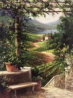 Chianti Vineyard Fine Art Print