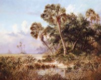 Glades Cove Fine Art Print