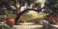 Napa Patio Fine Art Print