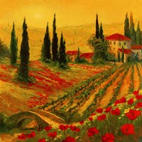 Poppies of Toscano I Framed Print