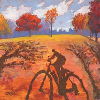 Bicycle Shadow Fine Art Print