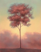 Solitude II Fine Art Print