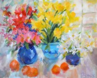 Sunny Still Life Fine Art Print