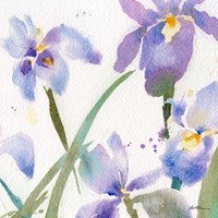 Irises Fine Art Print
