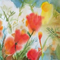 Orange Poppy Reverie Fine Art Print