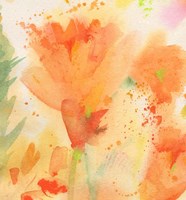 Windblown Poppies #2 Fine Art Print