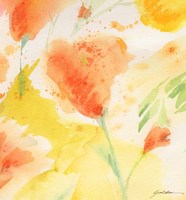 Windblown Poppies #3 Fine Art Print