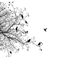 Bird I Fine Art Print