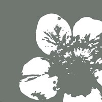 Flower III Fine Art Print