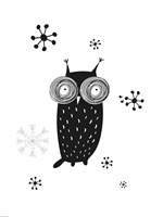 Owl I Fine Art Print