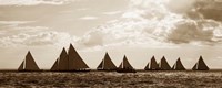Sailboats Fine Art Print