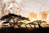 Savanna Fine Art Print